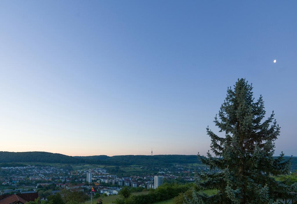 Restaurant-Hotel Maien Lörrach Exteriér fotografie